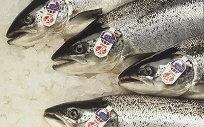 Saumon Label Rouge – TRIM D