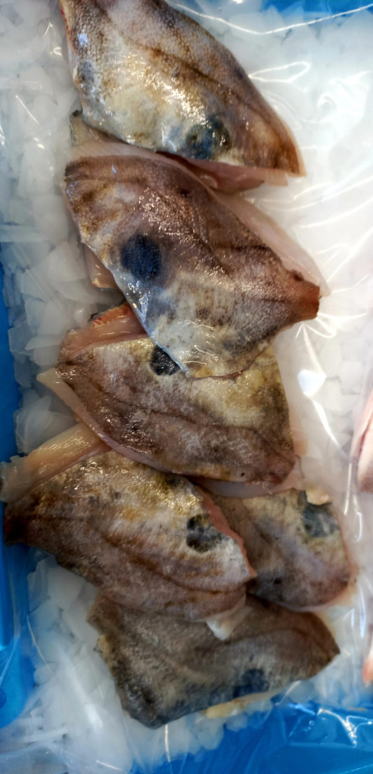 SAINT PIERRE - Zeus faber