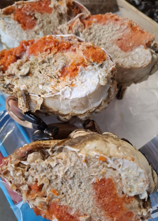 Tourteau cuit – Cancer Pagurus