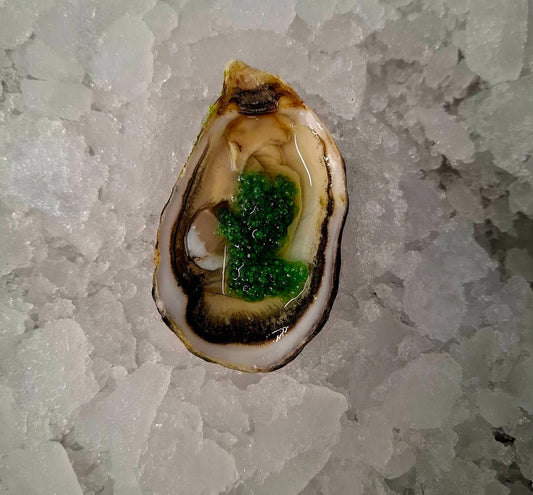 Plateau - 🦪 L’extra iodé  “Normandy Discovery”