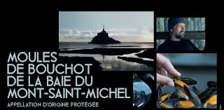 Moules AOP Mont Saint Michel - Mytilus Edulis