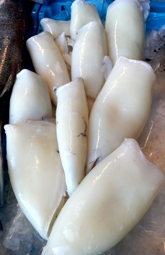 SEICHE - Sepia officinalis