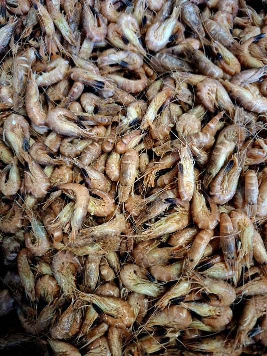 Crevettes grises cuites – Crangnon Crangnon