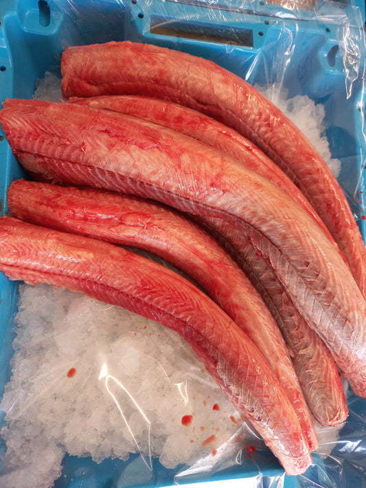 EMISSOLE PELEE - Mustelus mustelus