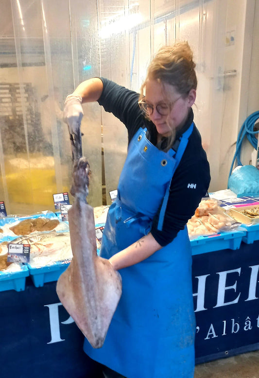 ENCORNET  - Loligo vulgaris