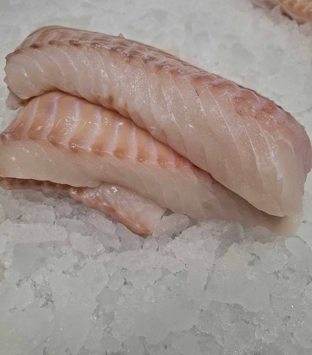 Dos de Cabillaud – Gadus Morhua - prix au kilo